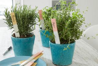 etiquettes-de-plantes-en-pate-fimo