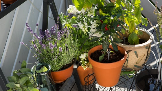 Système d'irrigation de jardin, 158pcs micro goutte à goutte kit d'arrosage  automatique, jardin, pelouse, plantes kit d'arrosage DIY