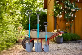  Que faire au potager, au verger et au jardin d’ornement en mars ? 