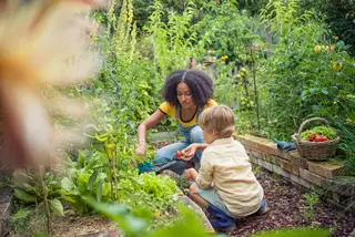 Jardiner écologique : bien choisir ses outils