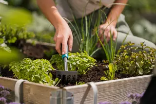 Voici le calendrier lunaire du mois d’avril 2024.