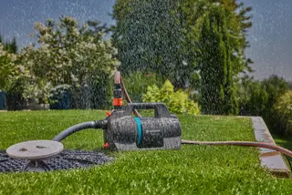 Découvrez les plantations à effectuer dans la région des Hauts-de-France.