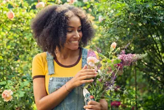 a person just picked up beautiful flowers