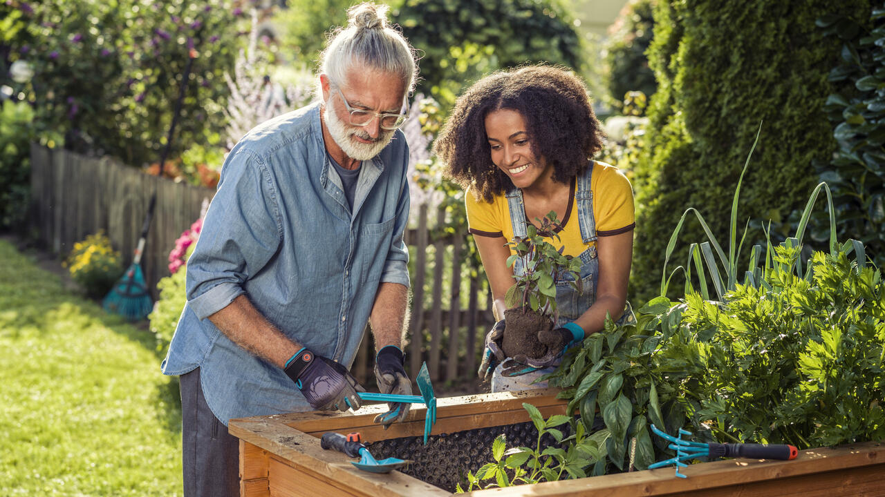 Quelles associations de plantes pour un potager en permaculture ...